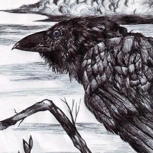 Meet your Posher, Arthur